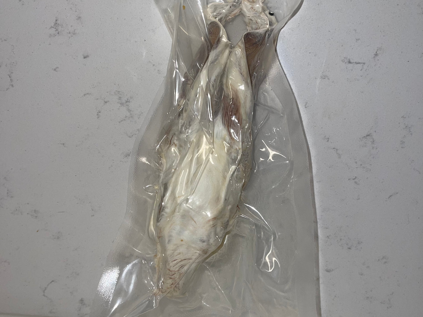 Dehydrated Rabbit Head